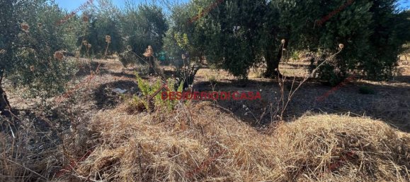 6000m² Land in Bagheria, Italy No. 364470 8