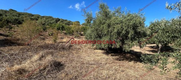 6000m² Land in Bagheria, Italy No. 364470 5