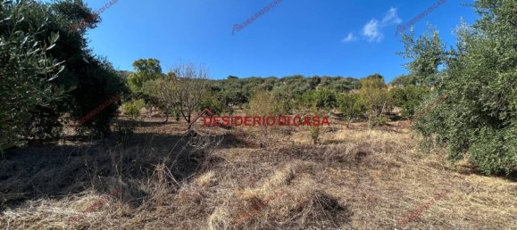 6000m² Land in Bagheria, Italy No. 364470 4
