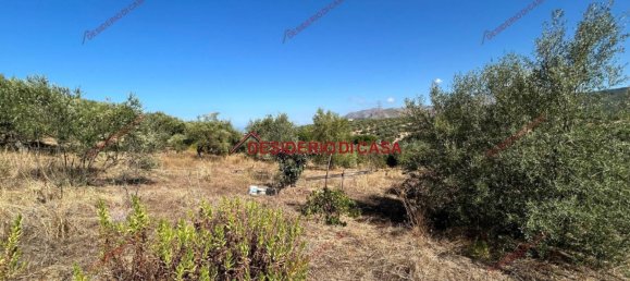 6000m² Land in Bagheria, Italy No. 364470 13