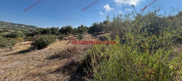 6000m² Land in Bagheria, Italy No. 364470 14