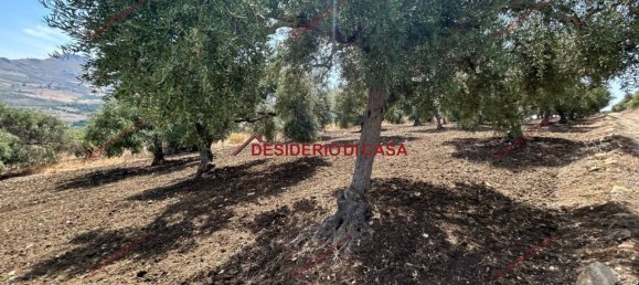 6000m² Land in Bagheria, Italy No. 364470 2