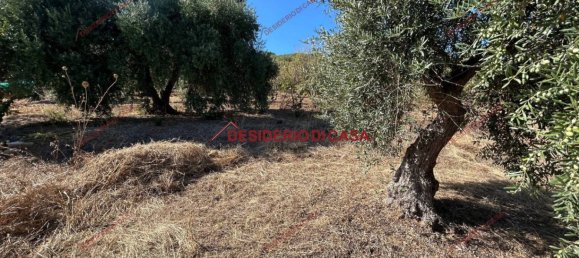 6000m² Land in Bagheria, Italy No. 364470 7