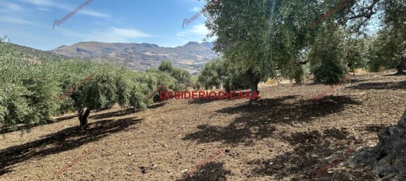 6000m² Land in Bagheria, Italy No. 364470 3