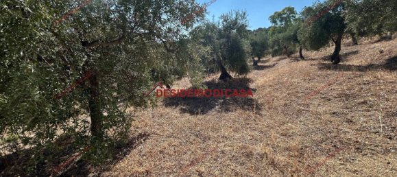 6000m² Land in Bagheria, Italy No. 364470 19