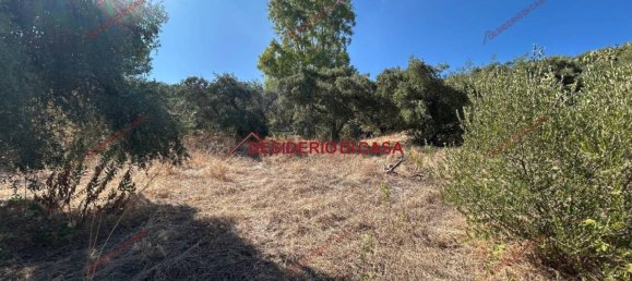 6000m² Land in Bagheria, Italy No. 364470 15