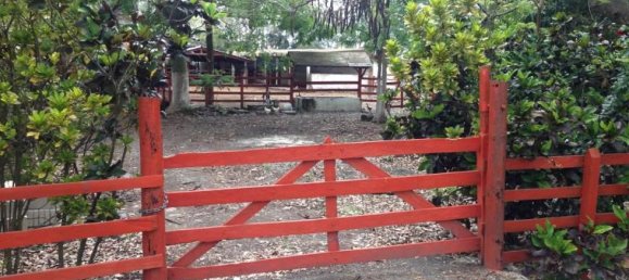 Studio in Tijuana, Mexico No. 163351 2