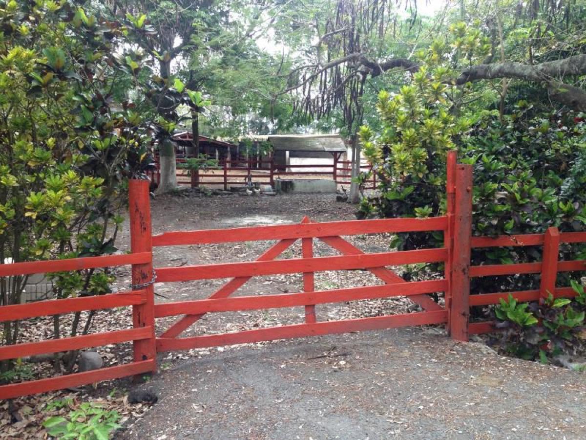 Studio in Tijuana, Mexico No. 163351