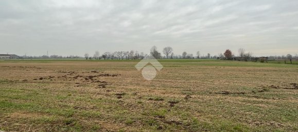 17580m² Land in Marmirolo, Italy No. 64190 10