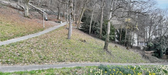 Apartamento de 3 dormitorios en Freiburg im Breisgau, Germany No. 36410 18