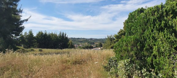 8962m² Hotel in Chalkidiki, Greece No. 8138 5