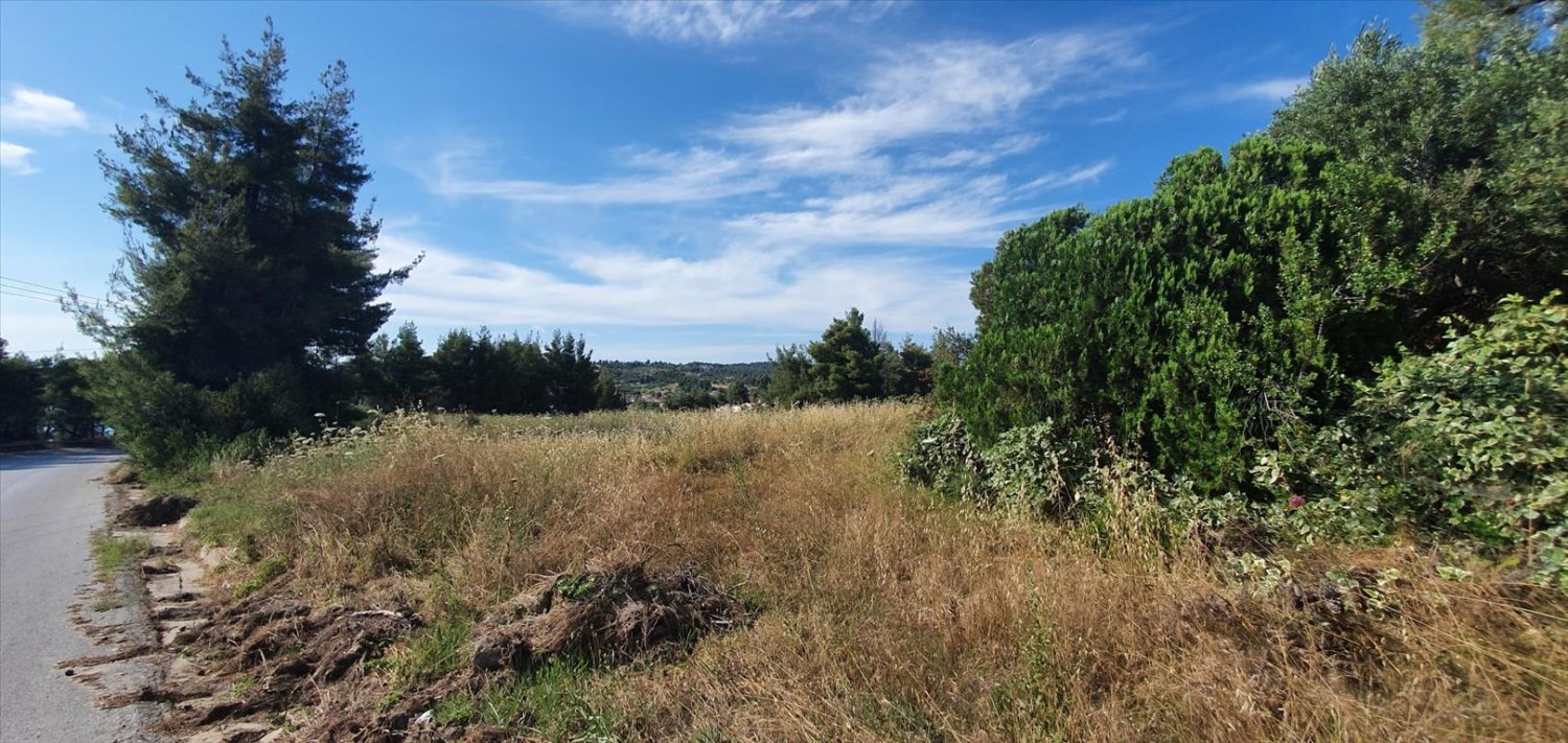 8962m² Hotel in Chalkidiki, Greece No. 8138