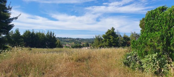 8962m² Hotel in Chalkidiki, Greece No. 8138 2