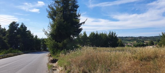 8962m² Hotel in Chalkidiki, Greece No. 8138 3