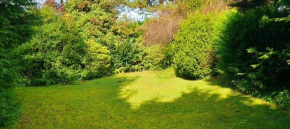 Casa de 3 divisões em Emsland, Germany N.º 150062 10