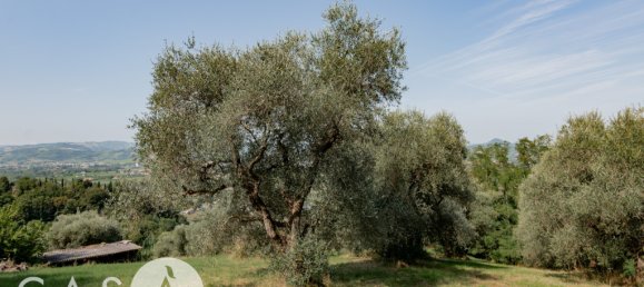 Земельный участок 60000м² в Чезена, Италия № 350478 4