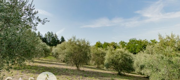 Земельный участок 60000м² в Чезена, Италия № 350478 2