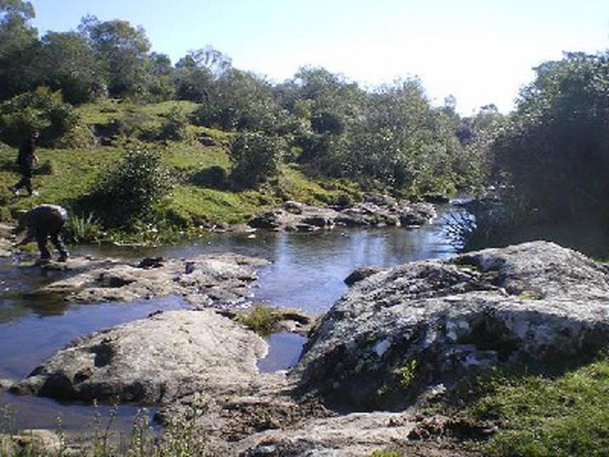 64m² Farm in Maldonado, Uruguay No. 14280