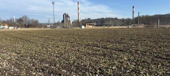 Terreno en Wildon, Austria 5000 m² No. 194980 12