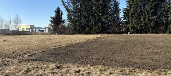 Terreno en Wildon, Austria 5000 m² No. 194980 11