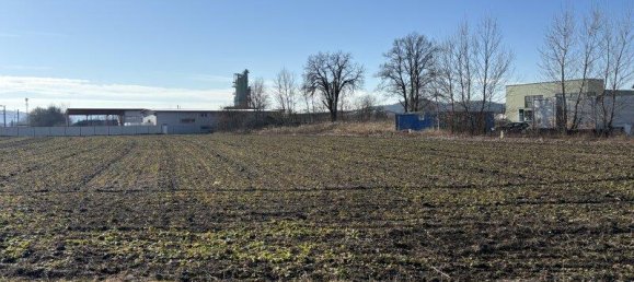 Terreno en Wildon, Austria 5000 m² No. 194980 8