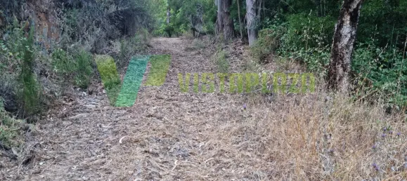 Земельный участок 93310м² в Marmelete, Португалия № 78042 17