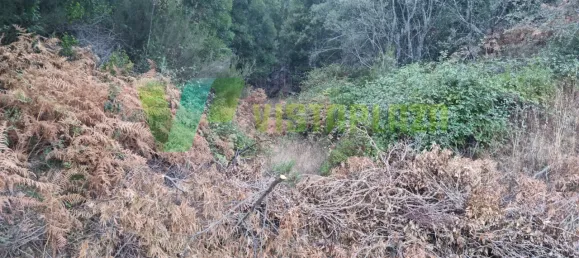 Земельный участок 93310м² в Marmelete, Португалия № 78042 23