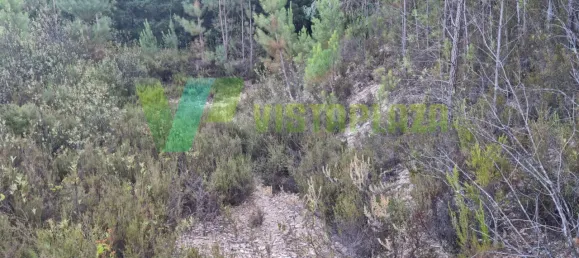 Земельный участок 93310м² в Marmelete, Португалия № 78042 25