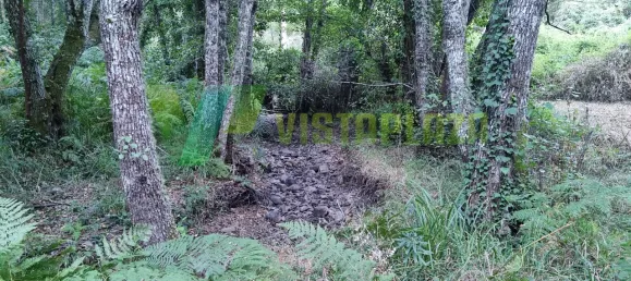 Земельный участок 93310м² в Marmelete, Португалия № 78042 13