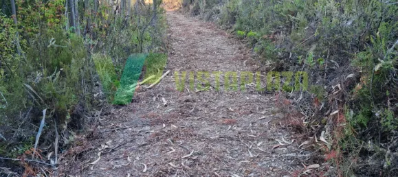 Земельный участок 93310м² в Marmelete, Португалия № 78042 8