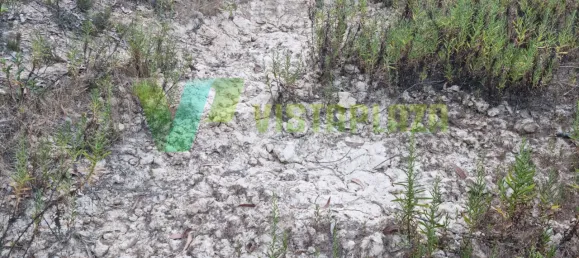 Земельный участок 93310м² в Marmelete, Португалия № 78042 27