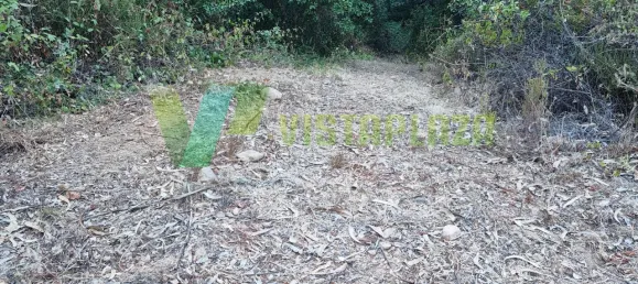 Земельный участок 93310м² в Marmelete, Португалия № 78042 6