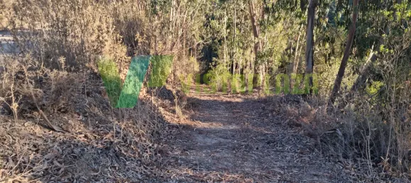 Земельный участок 93310м² в Marmelete, Португалия № 78042 5