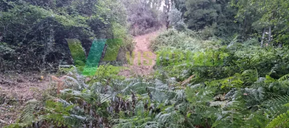 Земельный участок 93310м² в Marmelete, Португалия № 78042 16