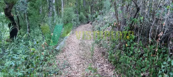 Земельный участок 93310м² в Marmelete, Португалия № 78042 11