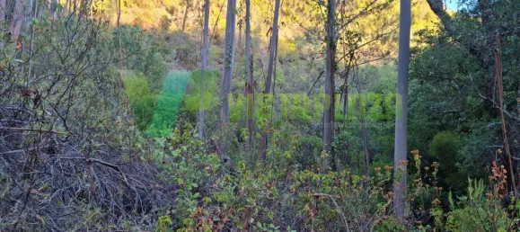 Земельный участок 93310м² в Marmelete, Португалия № 78042 7