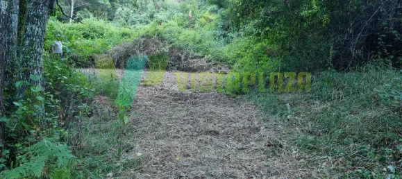 Земельный участок 93310м² в Marmelete, Португалия № 78042 12