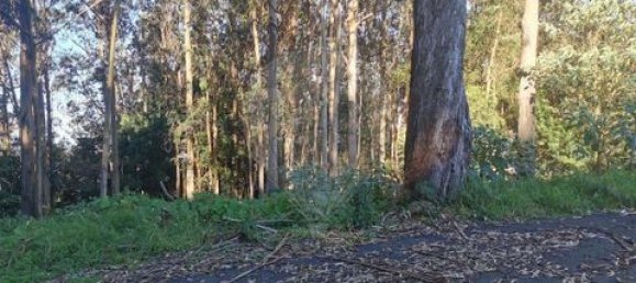 Grundstück in Santa Cruz, Portugal 730m², Nr. 250396 2