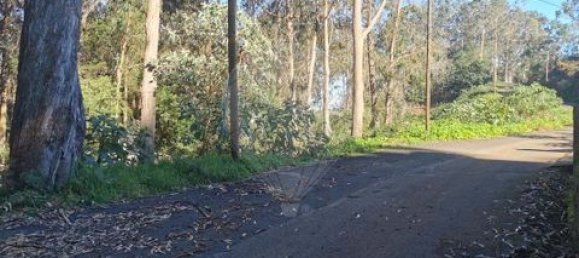 Grundstück in Santa Cruz, Portugal 730m², Nr. 250396 3