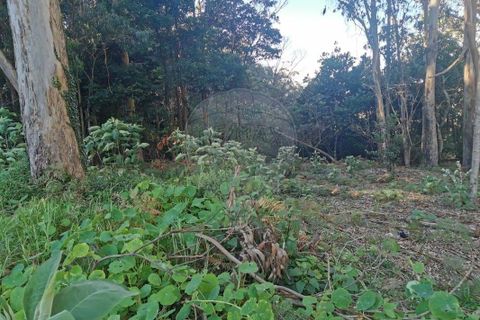 Grundstück in Santa Cruz, Portugal 730m², Nr. 250396