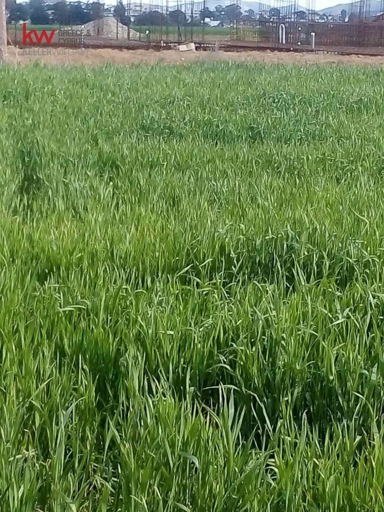 Terreno em Nicosia, Cyprus 21741 m² N.º 26558