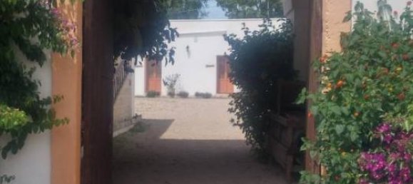 10-Zimmer Haus in Nardò, Italy, Nr. 103257 6