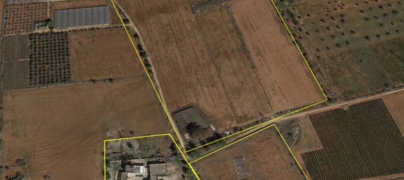 10-Zimmer Haus in Nardò, Italy, Nr. 103257 21