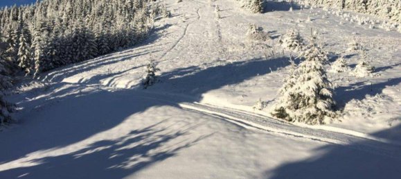 Casa de 4 habitaciónes en Maria Lankowitz, Austria No. 153949 20