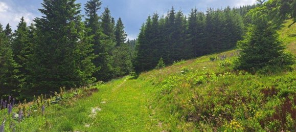 Casa de 4 habitaciónes en Maria Lankowitz, Austria No. 153949 8