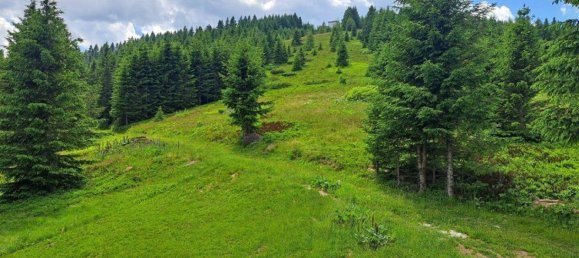 Casa de 4 habitaciónes en Maria Lankowitz, Austria No. 153949 7