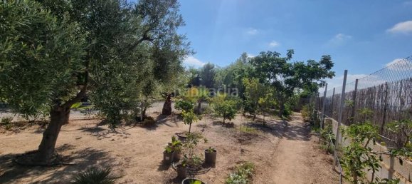 6 غرف نوم منزل في Moralet, Spain رقم 27557 31