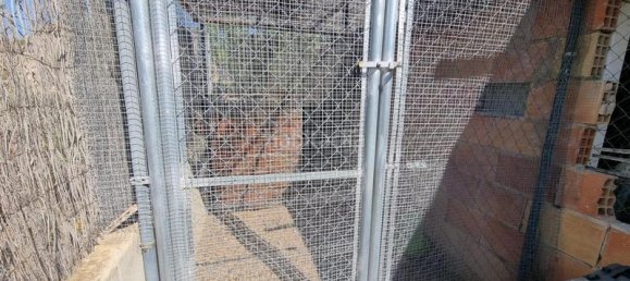 6 غرف نوم منزل في Moralet, Spain رقم 27557 39