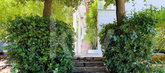 11 bedrooms House in Cascais, Portugal No. 67578 10