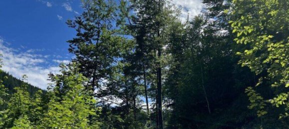 Grundstück in Neuberg an der Mürz, Austria 60309m², Nr. 113411 7